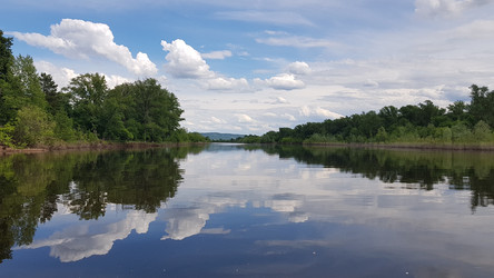 Летний речной пейзаж с отражением неба и деревьев в воде - Zalirina