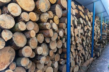 На площадке для хранения сложенные в стопки распиленные бревна и дрова демонстрируют естественную текстуру древесины, годичные кольца, грубую кору и синие металлические опоры - AliakseiSmalenski