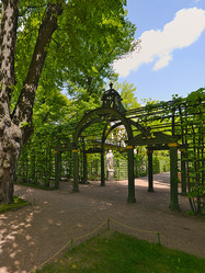 Летний сад, Зеленая галерея (берсо). Россия, город Санкт-Петербург - Prokrida