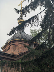 Купол православного храма за ветвями ели - RYSEV