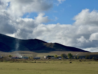 Коровы на фоне деревенских домов в горах, Грузия - OlgaK