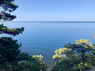 Голубое прозрачное море, сливающееся с небом, окруженное хвойными деревьями, Криница, Черное море - OlgaK