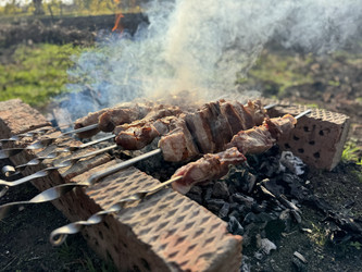 Летние шашлыки на шампурах за городом на природе - OlgaK
