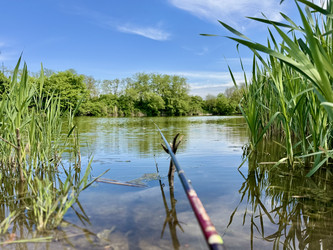 Удочка над прозрачной водой реки, окруженная зеленью и камышом, отражающимися в воде, Кубань - OlgaK
