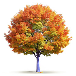 Яркий клен сахарный (Acer Saccharum) с осенней листвой. Генеративный ИИ - RomanZ