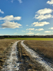 Полевая дорога - Sandora