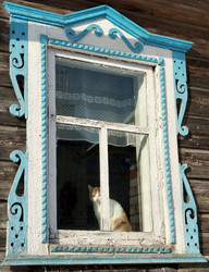 Кошка в деревенском окне - Sandora