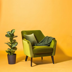 Минималистичное желтое кресло с растением и пледом в уютной обстановке. Генеративный ИИ - RomanZ