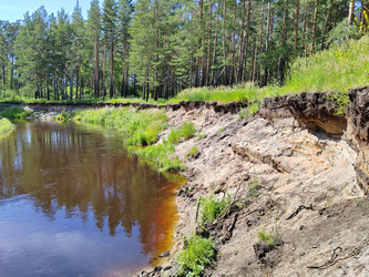 Берег Барнаулки - bykgeniy