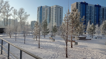 Морозный день все в инее - bykgeniy