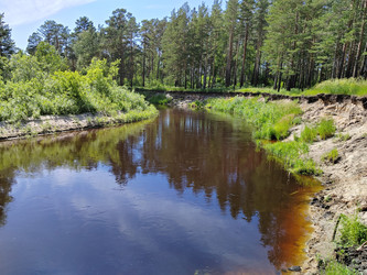 Желтый оттенок воды в реке Барнаулка - bykgeniy
