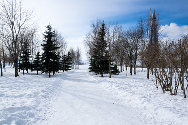 Парк Санкт-Петербурга, 300-летие - gumbao