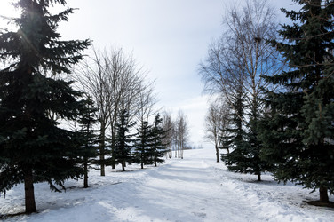 Парк Санкт-Петербурга, 300-летие - gumbao