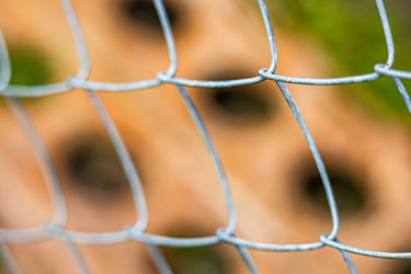 Деревенский забор из звеньев цепи с размытым фоном - Derbis