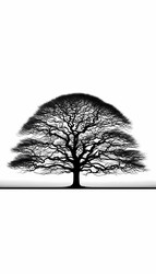 Яркое, высококонтрастное изображение одинокого безлистного дерева на фоне огромного, пустого, белого неба, с его замысловатыми ветвями, образующими сложную сеть тонких черных линий. Изображение, созданное с помощью искусственного интеллекта - yuyu