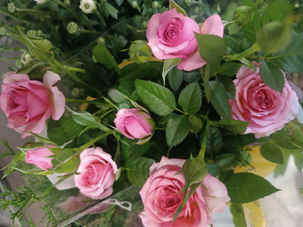 Розовые розы (Rosa) в букете — распустившиеся цветы и бутоны - Mihail_direct