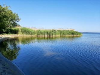 Небольшой островок с песчаным берегом и зарослями тростника у воды - innabolshakova