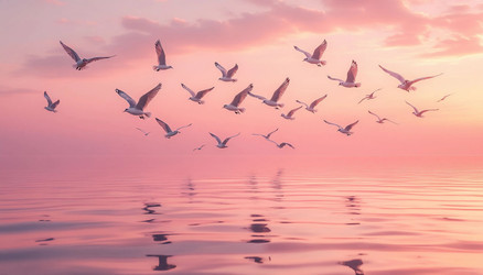Birds Flying Over Water at Soft Pink Sunrise – Dreamy Nature Poster for Wall Art, Bedroom or Meditation Space - Kulkann75