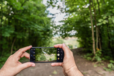 Мужчина держит смартфон и фотографирует лесную тропу со скамейкой. Интерфейс камеры мобильного устройства отображает природный пейзаж. Фотосъемка в путешествиях и отдых на природе - Maria Moroz