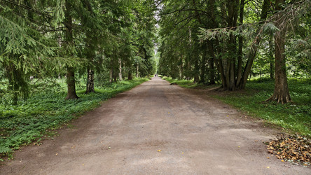 Павловский парк - PhotoStudent