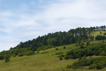 Малокурильское, остров Шикотан, Курилы, Россия. Сахалин. Sakhalin.  (marka) - marka