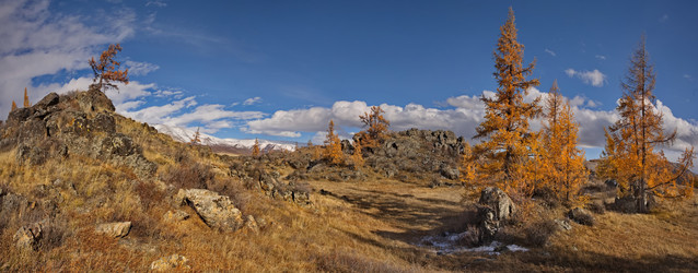 Россия. Юг Западной Сибири, горный Алтай. Глубокая осень в Курайской степи на живописных каменистых россыпях в окружении желтых лиственниц вдоль Чуйского тракта - kaikups