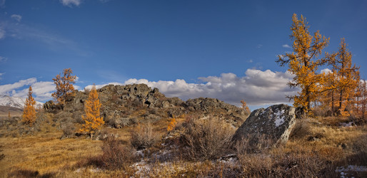 Россия. Юг Западной Сибири, горный Алтай. Глубокая осень в Курайской степи на живописных каменистых россыпях в окружении желтых лиственниц вдоль Чуйского тракта - kaikups