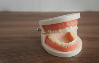 Искусственная челюсть человека с белыми зубами лежит на деревянном столе - ZemLenik_photoclb
