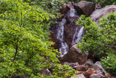 Ручей на склоне вулкана Баранского. остров Итуруп. A stream on the slope of the Baransky volcano. Iturup Island. Сахалин. Sakhalin. (marka) - marka