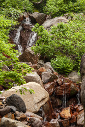 Ручей на склоне вулкана Баранского. остров Итуруп. A stream on the slope of the Baransky volcano. Iturup Island. Сахалин. Sakhalin. (marka) - marka