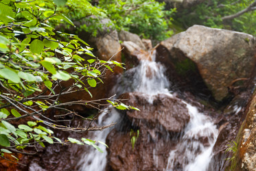 Ручей на склоне вулкана Баранского. остров Итуруп. A stream on the slope of the Baransky volcano. Iturup Island. Сахалин. Sakhalin. (marka) - marka