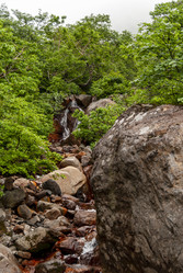 Ручей на склоне вулкана Баранского. остров Итуруп. A stream on the slope of the Baransky volcano. Iturup Island. Сахалин. Sakhalin. (marka) - marka