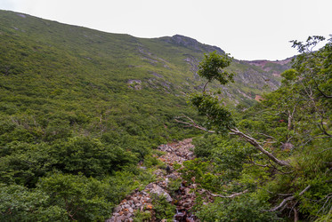 Подъем на вулкан Баранского. остров Итуруп. Climbing the Baransky volcano. Iturup Island. (Сахалин. Sakhalin (marka) - marka