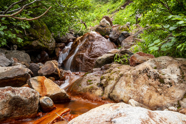Ручей на склоне вулкана Баранского. остров Итуруп. A stream on the slope of the Baransky volcano. Iturup Island. Сахалин. Sakhalin. (marka) - marka