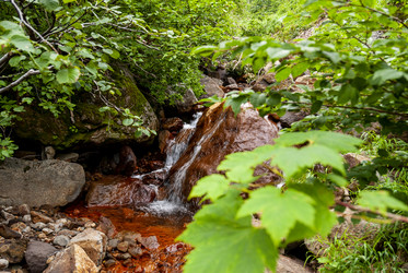 Ручей на склоне вулкана Баранского. остров Итуруп. A stream on the slope of the Baransky volcano. Iturup Island. Сахалин. Sakhalin. (marka) - marka