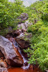 Ручей на склоне вулкана Баранского. остров Итуруп. A stream on the slope of the Baransky volcano. Iturup Island. Сахалин. Sakhalin. (marka) - marka