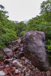 Ручей на склоне вулкана Баранского. остров Итуруп. A stream on the slope of the Baransky volcano. Iturup Island. Сахалин. Sakhalin. (marka) - marka