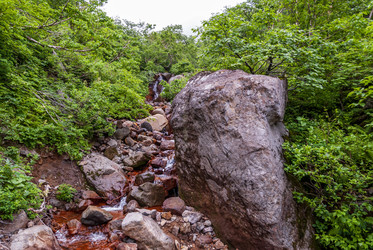 Ручей на склоне вулкана Баранского. остров Итуруп. A stream on the slope of the Baransky volcano. Iturup Island. Сахалин. Sakhalin. (marka) - marka