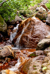 Ручей на склоне вулкана Баранского. остров Итуруп. A stream on the slope of the Baransky volcano. Iturup Island. Сахалин. Sakhalin. (marka) - marka