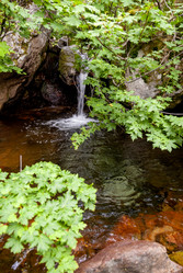 Ручей на склоне вулкана Баранского. остров Итуруп. A stream on the slope of the Baransky volcano. Iturup Island. (Сахалин. Sakhalin. (marka) - marka