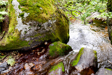 Ручей на склоне вулкана Баранского. остров Итуруп. A stream on the slope of the Baransky volcano. Iturup Island. (Сахалин. Sakhalin. (marka) - marka