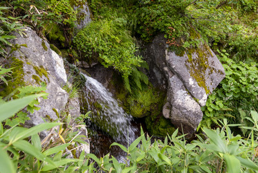 Ручей на склоне вулкана Баранского. остров Итуруп. A stream on the slope of the Baransky volcano. Iturup Island. (Сахалин. Sakhalin. (marka) - marka