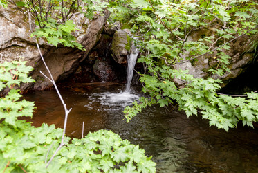 Ручей на склоне вулкана Баранского. остров Итуруп. A stream on the slope of the Baransky volcano. Iturup Island. (Сахалин. Sakhalin. (marka) - marka