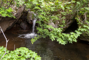Ручей на склоне вулкана Баранского. остров Итуруп. A stream on the slope of the Baransky volcano. Iturup Island. (Сахалин. Sakhalin. (marka) - marka