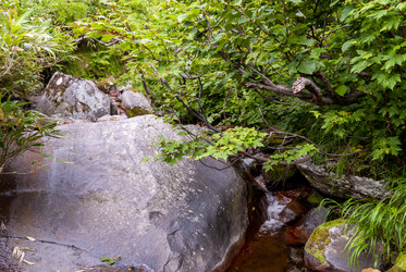 Ручей на склоне вулкана Баранского. остров Итуруп. A stream on the slope of the Baransky volcano. Iturup Island. (Сахалин. Sakhalin. (marka) - marka