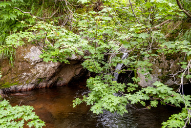 Ручей на склоне вулкана Баранского. остров Итуруп. A stream on the slope of the Baransky volcano. Iturup Island. (Сахалин. Sakhalin. (marka) - marka