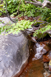 Ручей на склоне вулкана Баранского. остров Итуруп. A stream on the slope of the Baransky volcano. Iturup Island. (Сахалин. Sakhalin. (marka) - marka