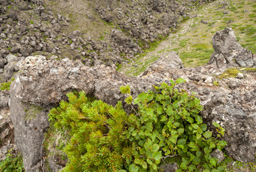 На вершине вулкана Баранского. остров Итуруп. View from Baransky volcano. Iturup Island. (Сахалин. Sakhalin. (marka) - marka