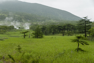 У подножья вулкана Баранского. остров Итуруп. View from Baransky volcano. Iturup Island. (Сахалин. Sakhalin. (marka) - marka