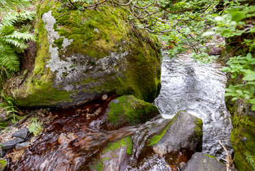 Ручей на склоне вулкана Баранского. остров Итуруп. A stream on the slope of the Baransky volcano. Iturup Island. (Сахалин. Sakhalin. (marka) - marka